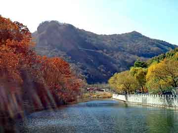 新澳天天开奖资料大全旅游团，陪游女